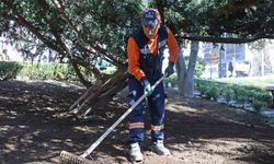 Çankaya’da Kuğulu Park Gübrelendi