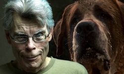 Stephen King Yeniden Yapımla Netflix’e Gelecek