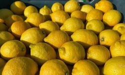 Limonda Uygun Fiyat için Gümrük Vergisi Düzenlemesi Yapıldı