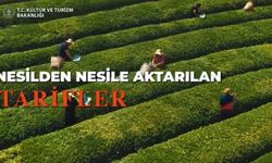 81 İlde Türk Mutfağı Haftası Etkinlikleri Başladı