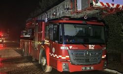 Adana'da İki Ayrı Orman Yangını: Kısa Sürede Söndürüldü