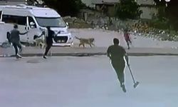 Adana’da Köpek Korkusu! Küçük Çocuk Son Anda Kurtarıldı