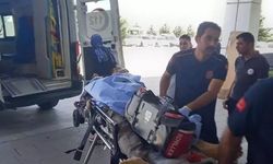 Aksaray’da Koyun Tartışması Kanlı Bitti