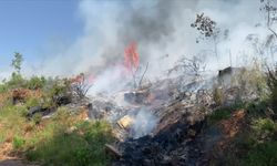 Alanya'da Makilik Alanda Bir Haftada Üçüncü Yangın