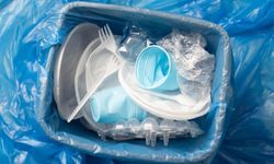 BPA Nedir? BPA’nın Sağlık Üzerindeki Etkileri Nelerdir?