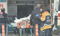 Bursa’da Tarlada Köstebek Tabanca Patladı, Hayatını Kaybetti