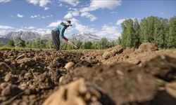 Çiftçilere 3,3 Milyar TL Destek Bugün Hesaplarda