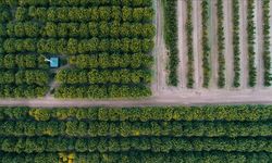 IFAD Başkanı Lario: Gıda Güvenliği için Kırsal Kalkınma Şart
