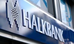 Halkbank, Şubeli Katılım Bankası için BDDK'nın Kapısını Çaldı
