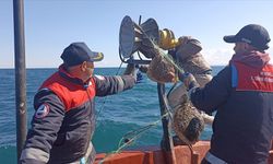 Karadeniz’de 44 Bin Metrelik Kaçak Balık Ağı Toplandı