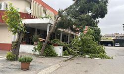Manisa Turgutlu’da Şiddetli Rüzgâr Hayatı Felç Etti