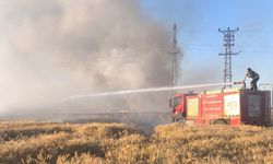 Mardin’de İki Buğday Tarlasında Yangın: 155 Dönüm Kül Oldu