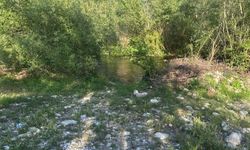 Muğla’da Elektrikle Balık Avlamak İstedi, Akıma Kapılarak Öldü
