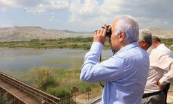 Nallıhan’da 8. Foto Safari Heyecanı Başlıyor
