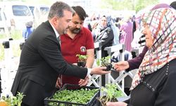 Pursaklar’da Yerli Tohuma Büyük Destek