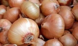 Rüyada Soğan Yemek Ne Anlama Gelir?