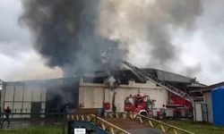 Sakarya’da Dumanlar Yükseldi: Fındık Fabrikası Yandı