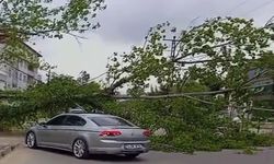 Şiddetli Rüzgar Bartın’da Hayatı Olumsuz Etkiledi