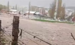 Sivas'ta Dolu ve Sağanak Tarım Arazilerini Vurdu