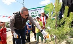 Sivas’ta Vefa Ormanı'na 535 Yeni Fidan