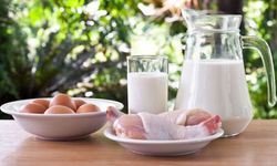 Süt ve Et Üretimi Arttı Yumurta Geriledi