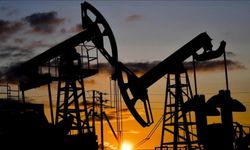 TPAO'ya Diyarbakır'da 20 Yıllık Petrol Ruhsatı Verildi