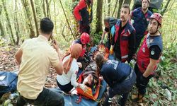 Sapanca’da UTV Kazası: Şarampole Devrilen Araçtaki Çift Yaralandı