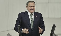 Veysel Eroğlu, Irak Özel Temsilcisi Olarak Görevlendirildi