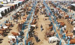 Altındağ’da Kurban Kesim Noktaları Belirlendi