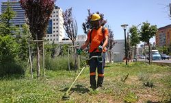 Çankaya’da Parklar Temizleniyor, Çimler Biçiliyor: Ekipler Sahada