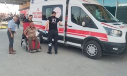 Çorum’da Kurban Kesiminde 30 Kişi Yaralandı