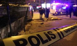 Denizli’de Kamyonet Refüjdeki Ağaca Çarptı: Genç Sürücü Öldü