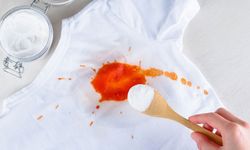 Domates Sosu Lekesi Kumaştan Nasıl Çıkar?
