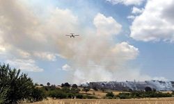 Edirne’de Anız Yangını Ormana Sıçradı, Ekipler Müdahale Ediyor