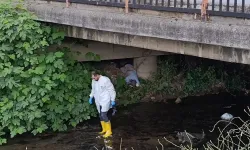 Bursa'da Şüpheli Ölüm! Dere Kenarında Erkek Cesedi Bulundu
