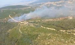 Foça’da Orman Yangını: Hava ve Kara Ekipleri Müdahalede
