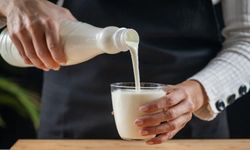 Günde 1 Bardak Kefir Ne İşe Yarar?