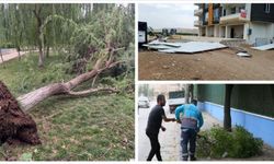 Güneydoğu’da Şiddetli Rüzgâr Hayatı Felç Etti