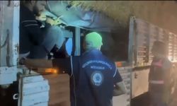 Hatay’da 31 Kaçak Göçmen Yakalanıp Sınır Dışı Edildi, 1 Tutuklama