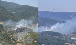 İzmir’de Orman Yangını: Havadan ve Karadan Müdahale