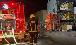 Kayseri'deki Ahşap Fabrikası Yangını Söndürüldü