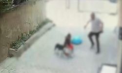 Ataşehir’de Pitbull Dehşeti! 7 Yaşındaki Çocuk Yaralandı