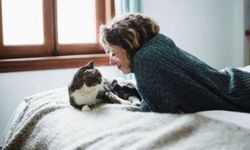 Kedilerin Fiziksel ve Ruhsal Etkileri Nelerdir?