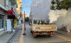 Şereflikoçhisar’da İlaçlama Seferberliği Başladı