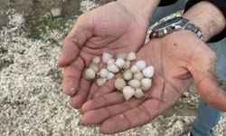 Yozgat’ta Haziranda Dolu ve Sağanak Etkili Oldu