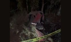 Aydın’da Korkunç Kaza: Otomobil Ağaçlık Alana Uçtu, 2 Ölü