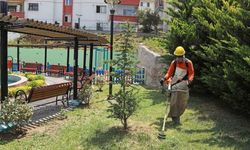 Çankaya Parklarında Bakım ve Onarım Çalışmaları Sürüyor