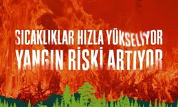 OGM'den Orman Yangını Uyarısı: Önümüzdeki 1 Haftaya Dikkat!