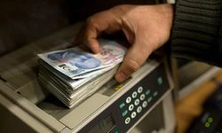 Tarım ve Orman Bakanlığı’ndan Don Mağduru Çiftçilere Destek Ödemesi