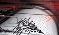 Yeni Zelanda'da Deprem Paniği